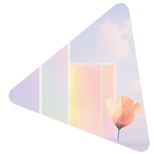 Blüte vor Rechtecken